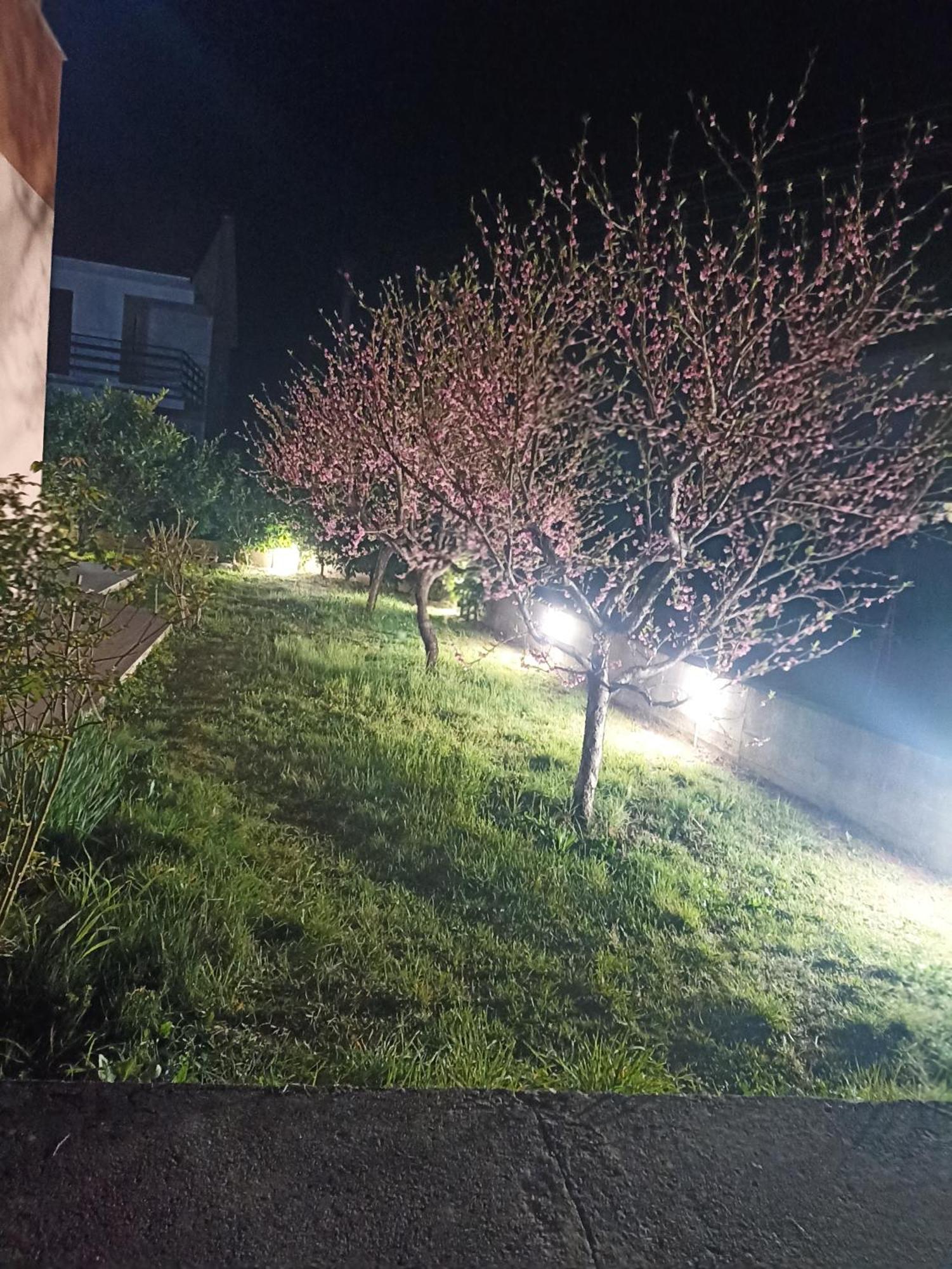 Apartmani Slado เทรบินเย ภายนอก รูปภาพ